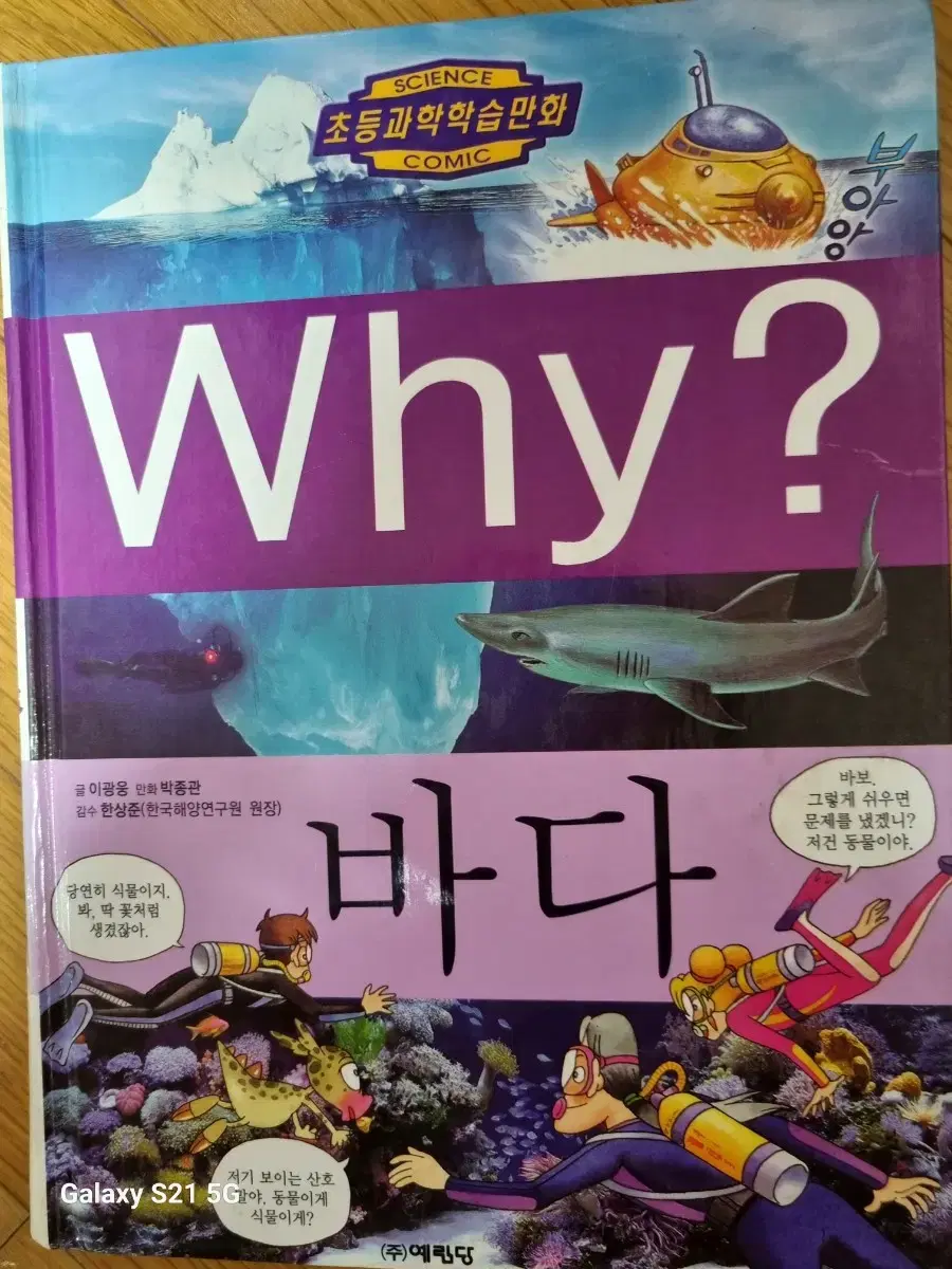 Why? 바다